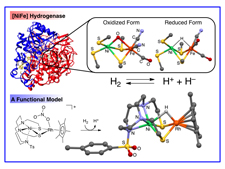 Amphiphilic dendrimers